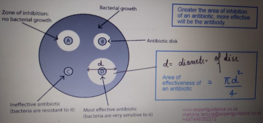 GCSE OCR 21st Century Biology Keeping Healthy Complete Revision Summary ...